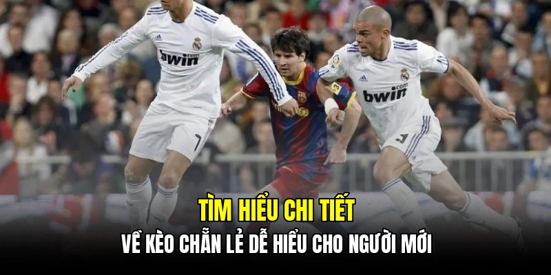 Tìm hiểu chi tiết về kèo chẵn lẻ dễ hiểu cho người mới